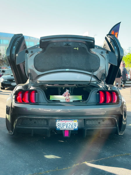 CMST Carbon Fiber Widebody kit for Ford Mustang S550.2 2018-ON