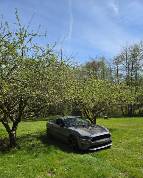 Ford Mustang GT 5.0 Mach1 Bullitt Ecoboost 2.3 S550.2 2018 2019 2020 2021 2022 2023 with Aftermarket Parts - V2 Clearview Glass Hood Bonnet Carbon Fiber / FRP from CMST Tuning