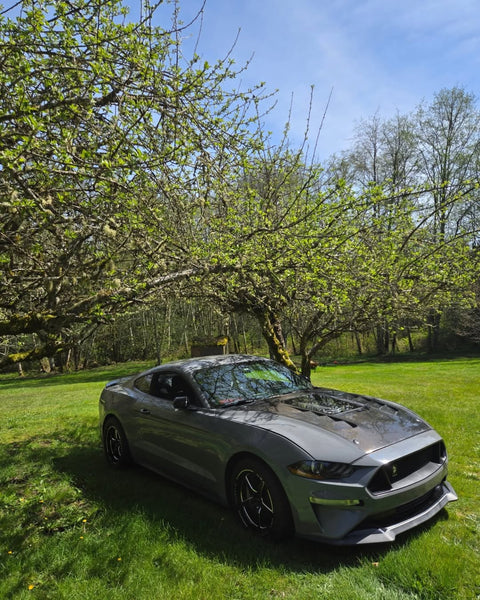 Ford Mustang GT 5.0 Mach1 Bullitt Ecoboost 2.3 S550.2 2018 2019 2020 2021 2022 2023 with Aftermarket Parts - V2 Clearview Glass Hood Bonnet Carbon Fiber / FRP from CMST Tuning