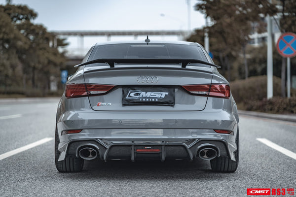 CMST Tuning Carbon Fiber Body Kit Package for Audi RS3 2018-2020